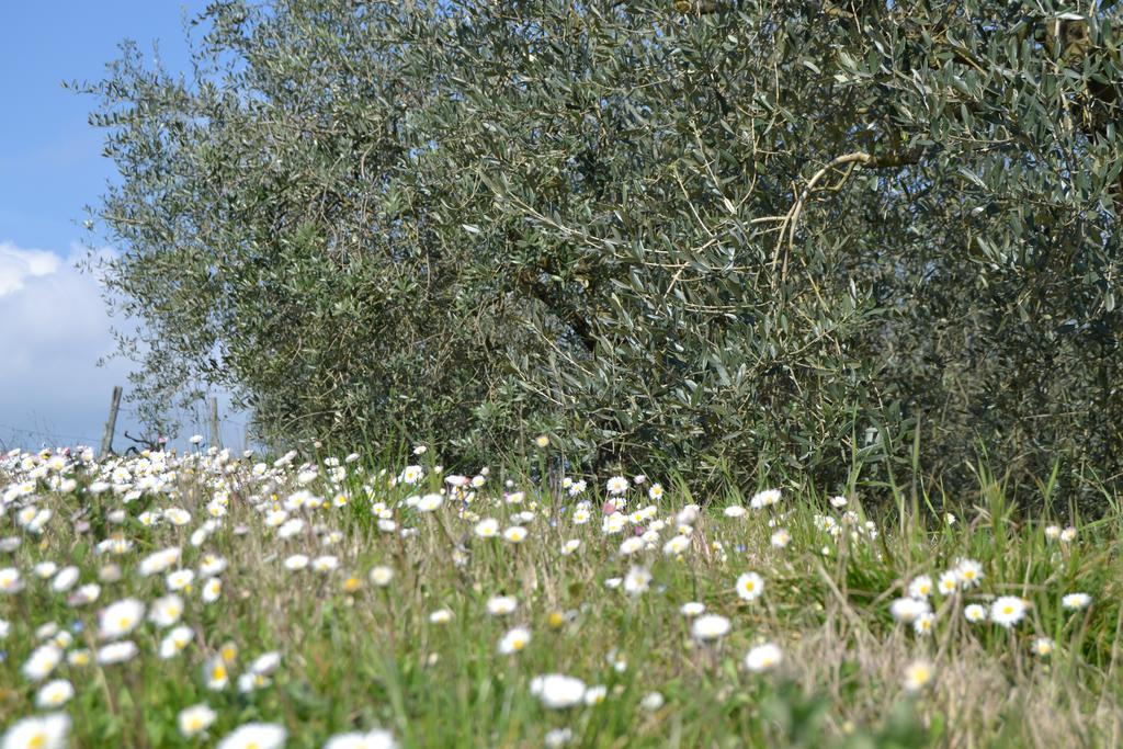 Agriturismo La Querce Rignano Sull Arno Exterior photo